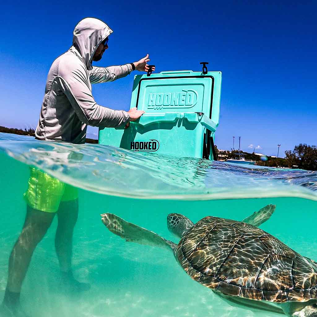 Person holding a Hooked cooler in the ocean as a turtle swims by.